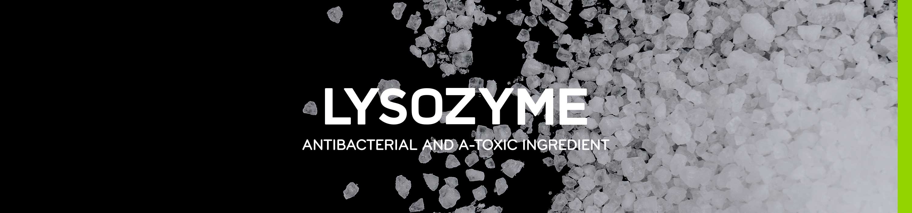Bioseutica® - Lysozyme
