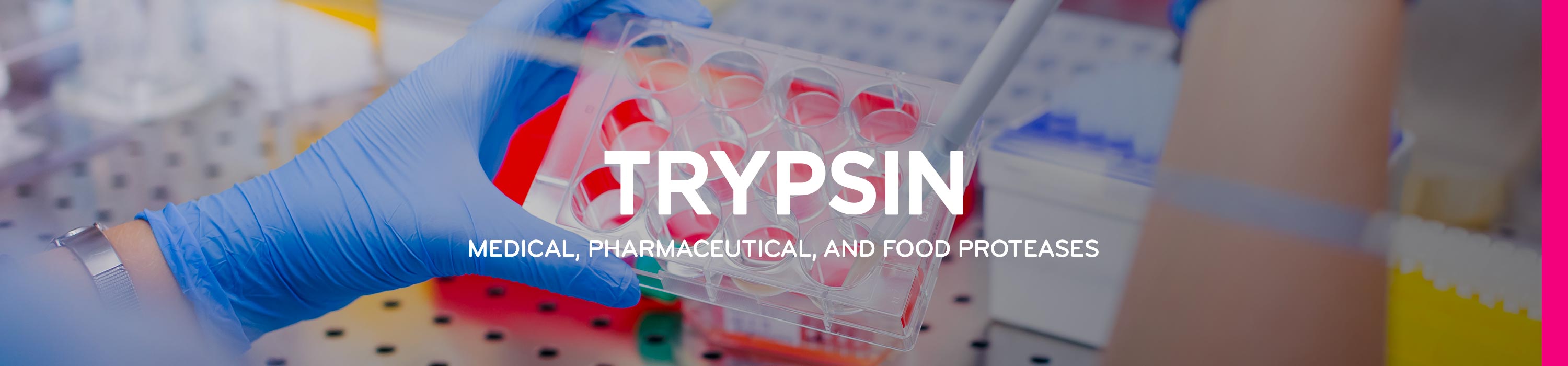 Bioseutica® TRYPSIN