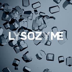 EFSA scientific opinion on Lysozyme from hen’s egg