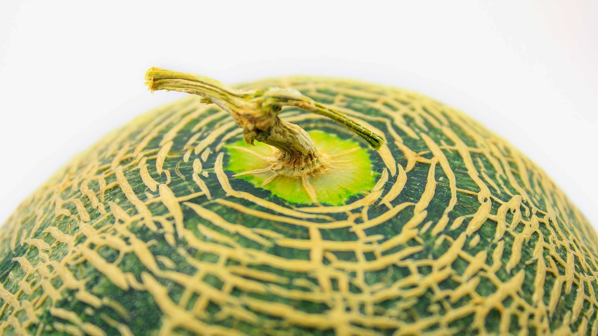 The Penicillin's root