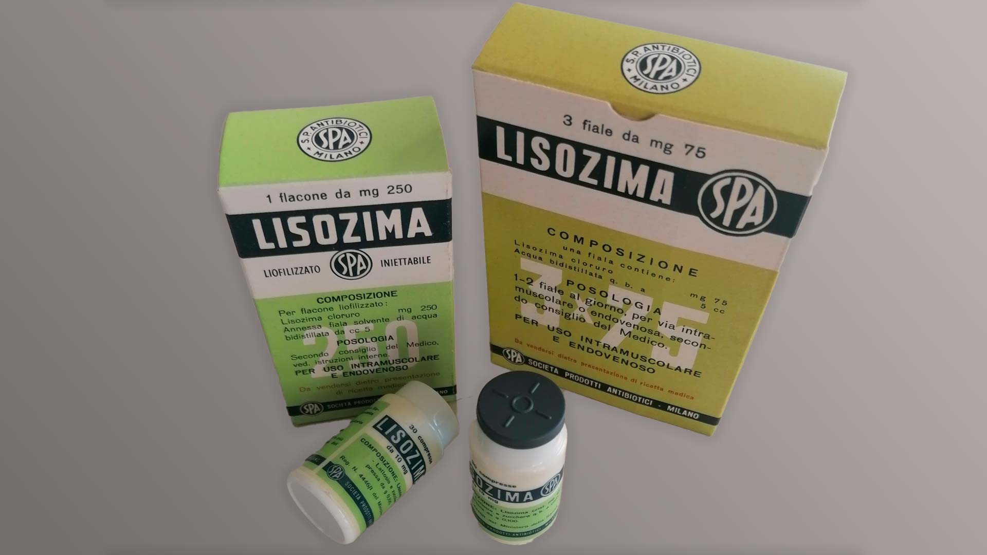 SPA’s lysozyme