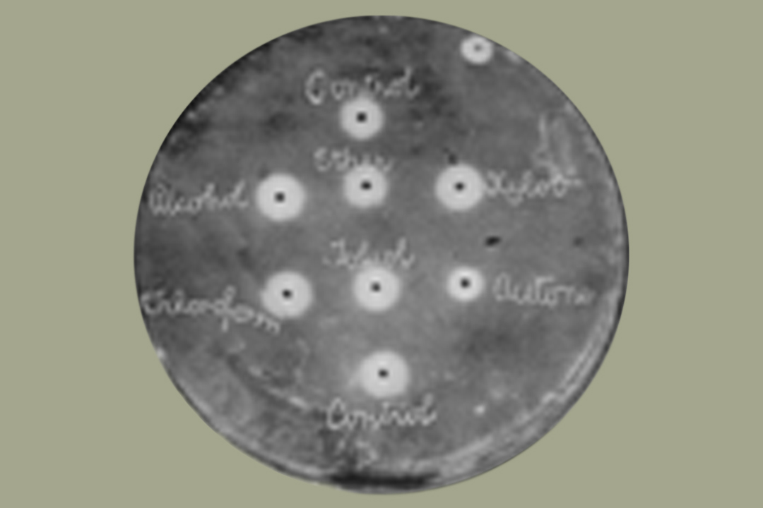 Fleming's Petri Dish