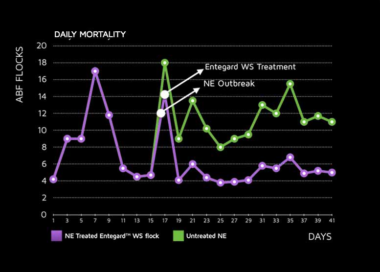 Bioseutica® Entegard® Poultry - Reduced Daily Mortality