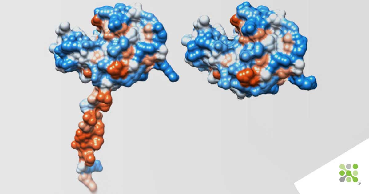 Deepmind Alphafold - Lysozyme