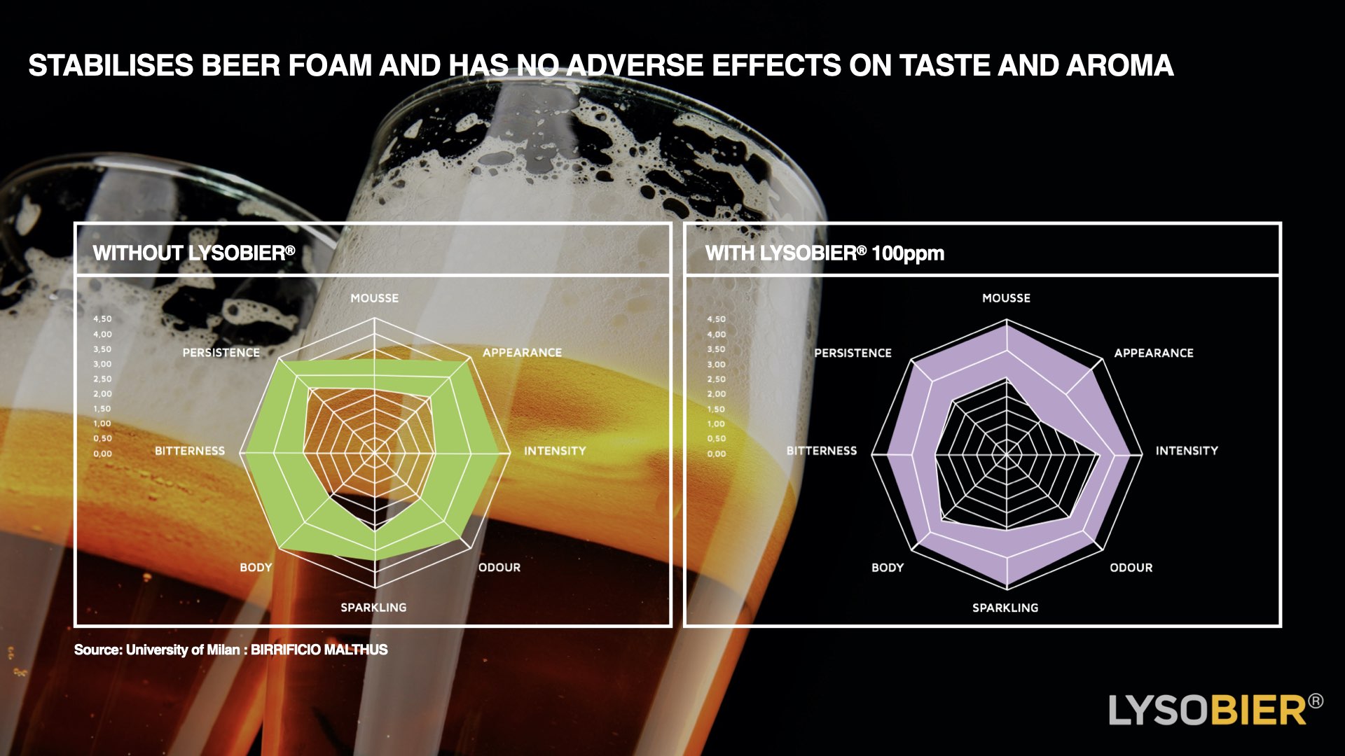 Bioseutica® LYSOBIER® - Improves beers organoleptic parameters