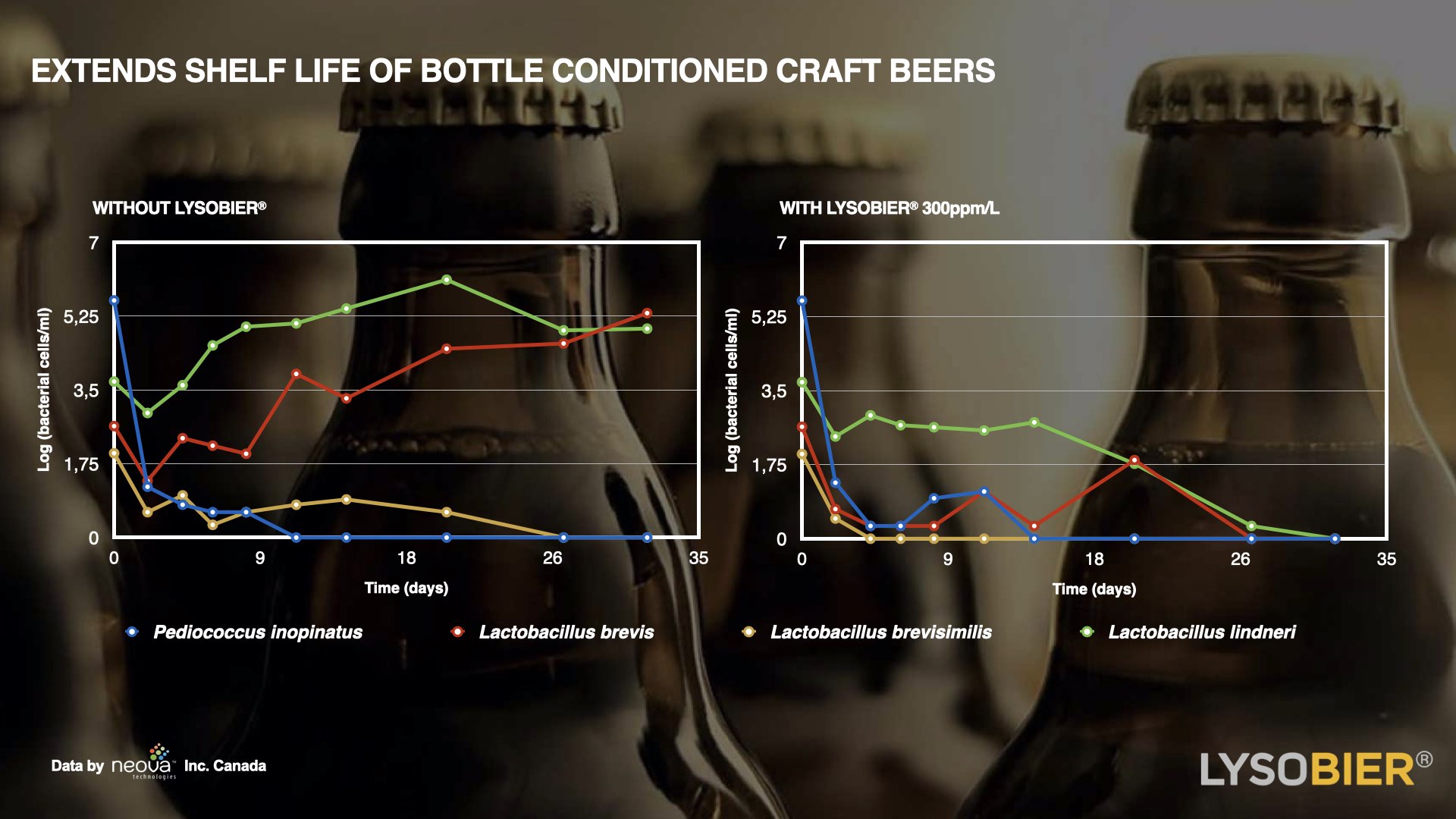 Bioseutica® LYSOBIER® - Extends shelf-life of bottle conditioned beer