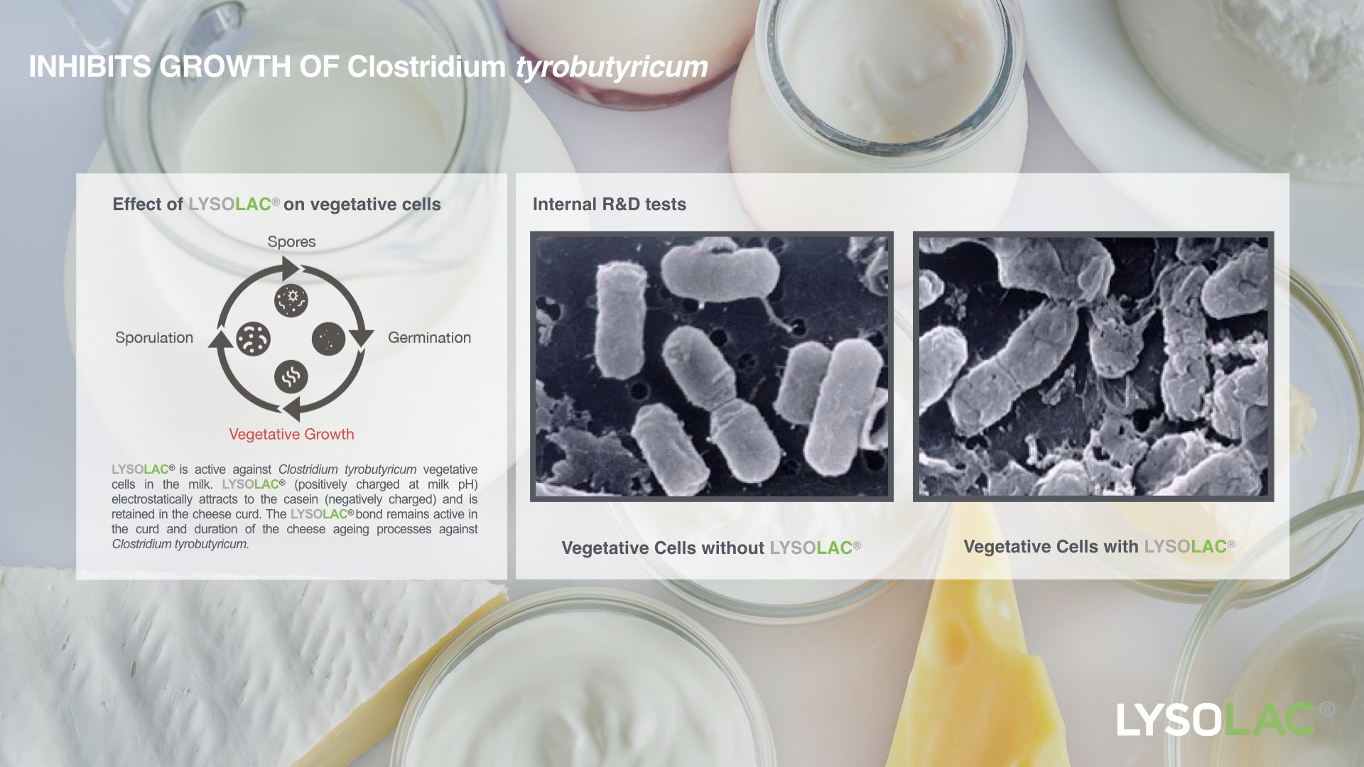 Bioseutica® LYSOLAC® - LAB Bacterial Inhibition