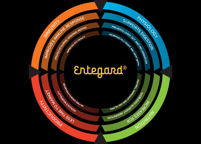 Bioseutica® Entegard® Poultry Advantages