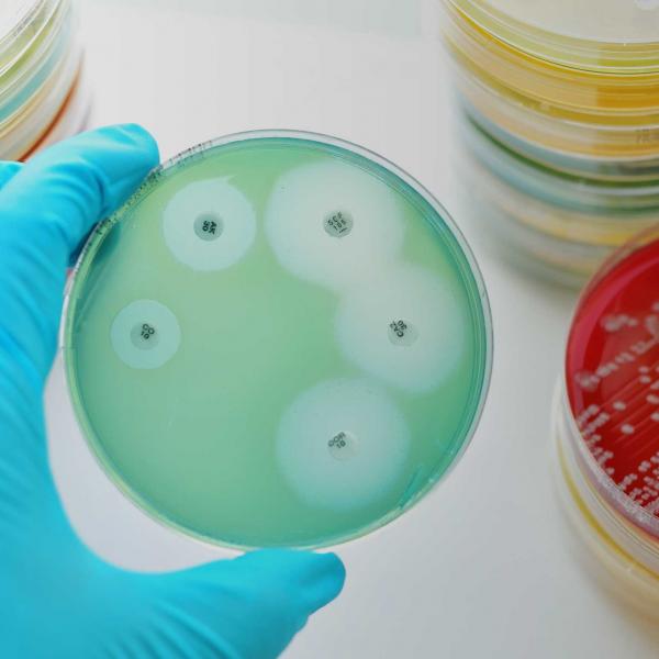 Bioseutica® | Antibiotic Resistance - A global concern