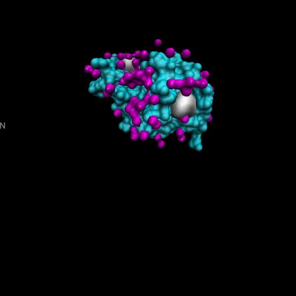 Bioseutica® 100 years of Lysozyme - Episode III - Instalment 2