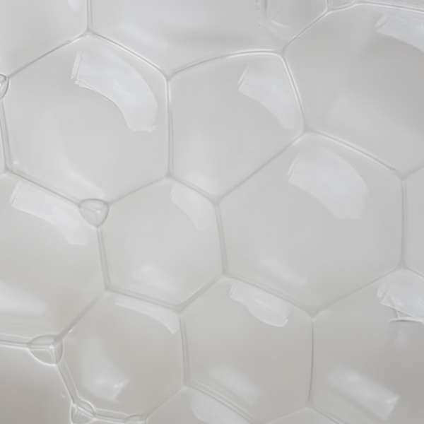 Bioseutica® LYSOLAC®
