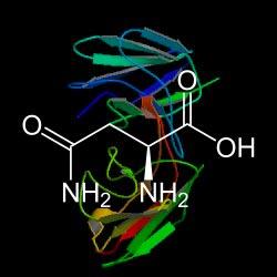 Ovotransferrin as a novel drug-targeting molecule for cancer chemotherapy