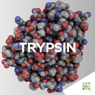 Bioseutica® TRYPSIN