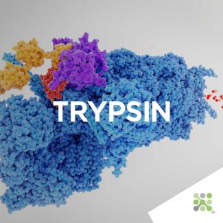 Bioseutica® TRYPSIN