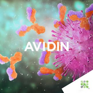 Bioseutica® AVIDIN