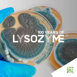 Bioseutica® 100 years of Lysozyme - Episode II - Instalment 2