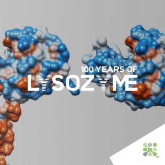 Bioseutica® 100 years of Lysozyme - Episode III - Instalment 3