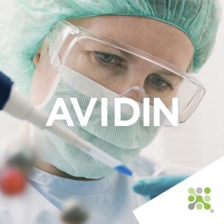 Bioseutica® AVIDIN