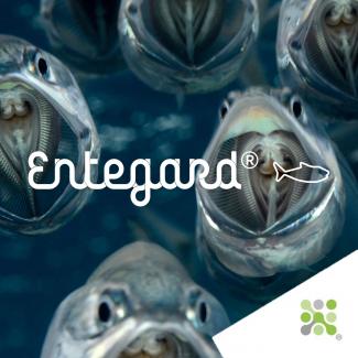 Bioseutica® Entegard® Aqua