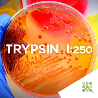 Bioseutica® TRYPSIN 1:250