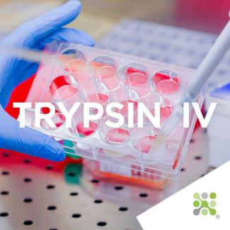 Bioseutica® TRYPSIN IV